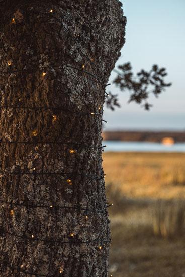 Dans les landes se cache un ravissant bar à champagne ouvert de juin à septembre