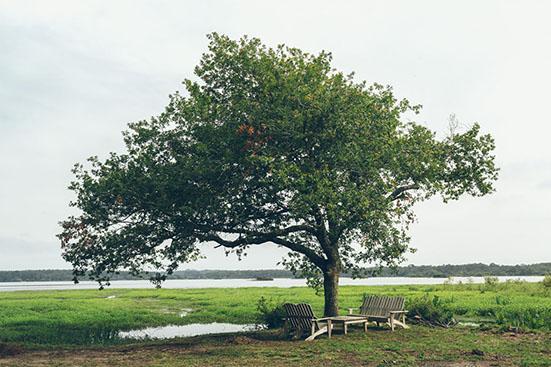 hôtel de charme et restaurant étoilé au cœur des landes