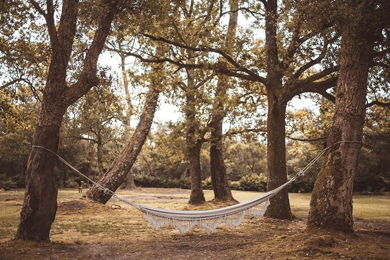 the landes coast is world-renowned for its beaches and pine forest