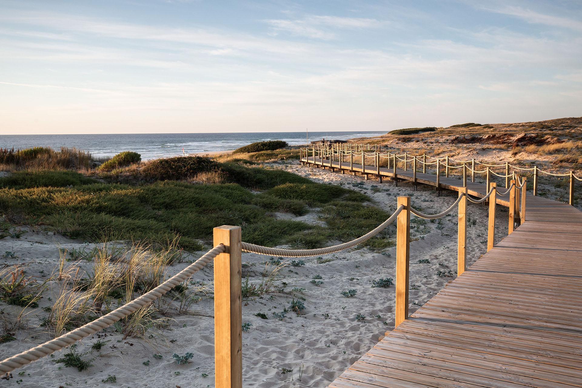 La côte landaise est réputée à travers le monde pour ses plages et sa forêt de pins