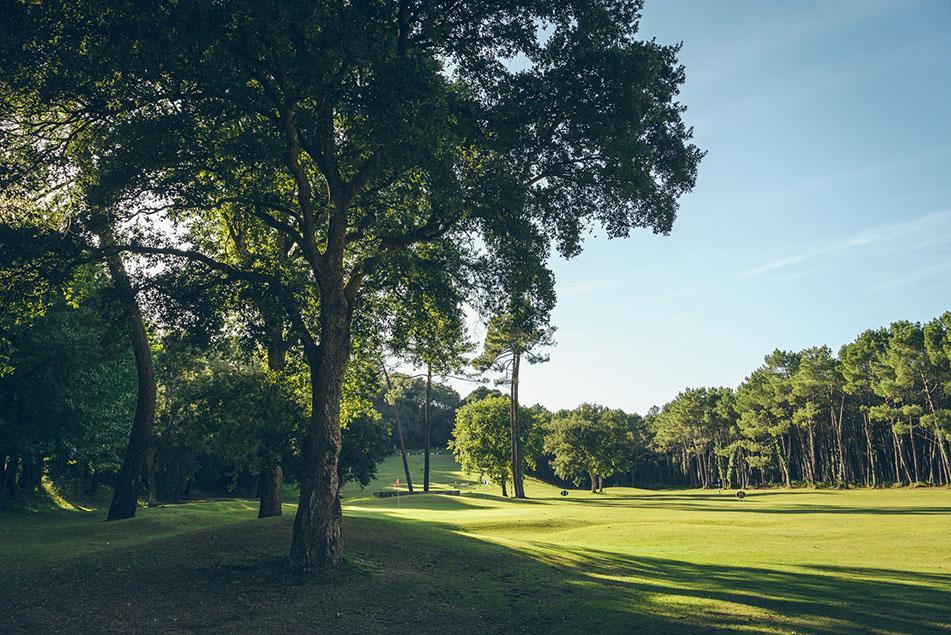 La côte landaise est réputée à travers le monde pour ses plages et sa forêt de pins