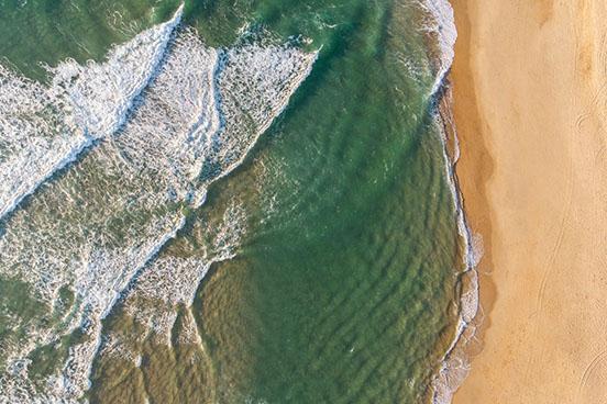 La côte landaise est réputée à travers le monde pour ses plages et sa forêt de pins