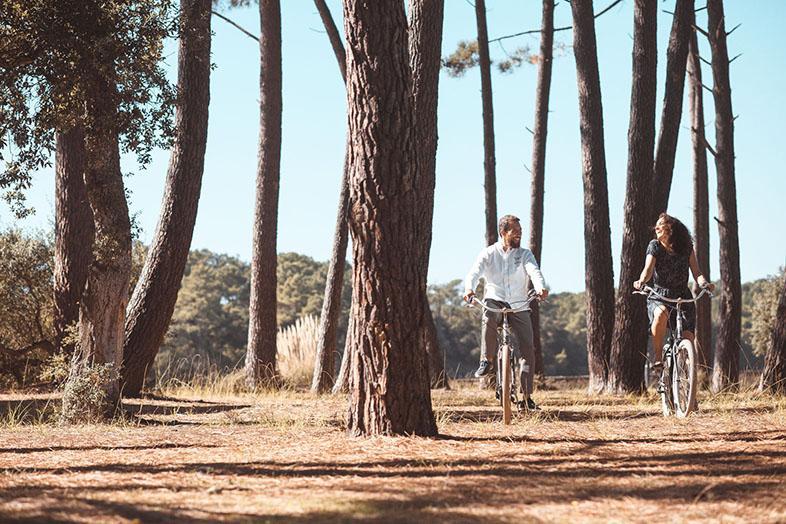 the landes coast is world-renowned for its beaches and pine forest